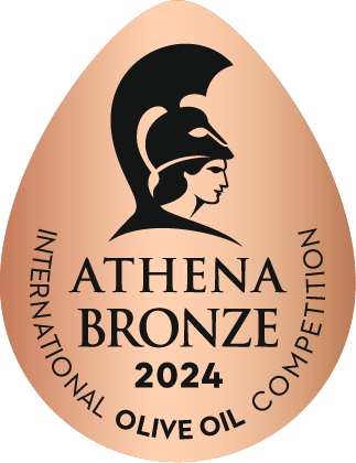 Bronze Award 2024